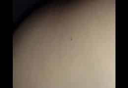 Cruising web coatza